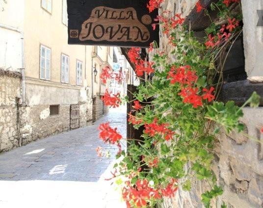 Villa Jovan Ohrid Exterior foto